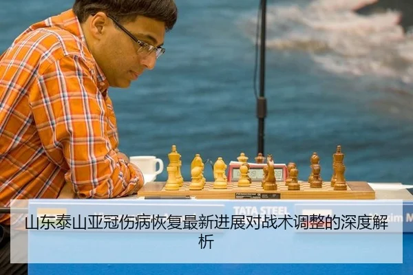 山东泰山亚冠伤病恢复最新进展对战术调整的深度解析